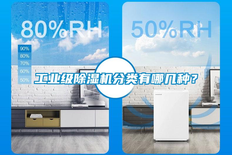 工业级草莓视频APP在线观看分类有哪几种？