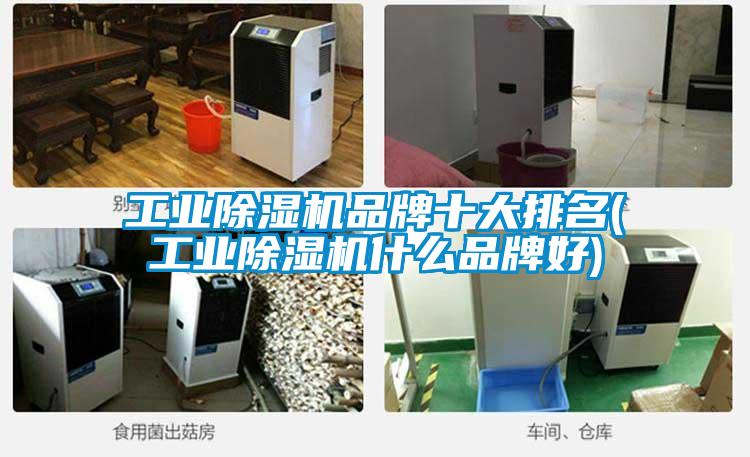工业草莓视频APP在线观看品牌十大排名(工业草莓视频APP在线观看什么品牌好)