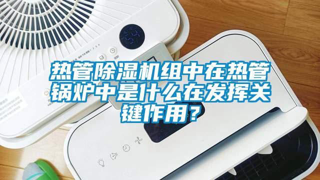 热管草莓视频APP在线观看组中在热管锅炉中是什么在发挥关键作用？