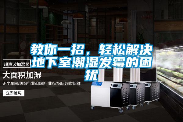 教你一招，轻松解决地下室潮湿发霉的困扰