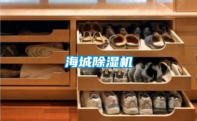 海城草莓视频APP在线观看