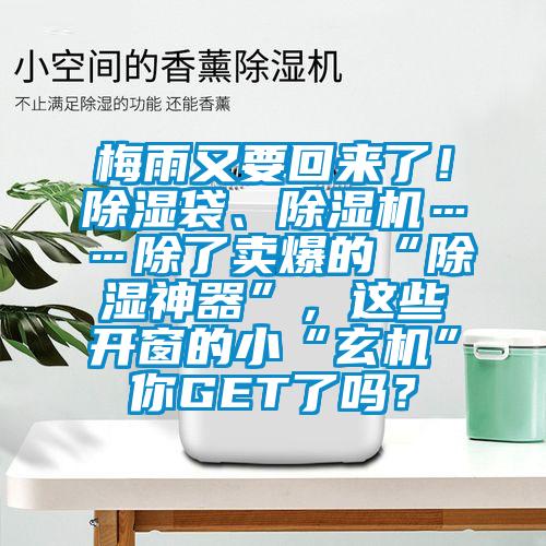 梅雨又要回来了！除湿袋、草莓视频APP在线观看……除了卖爆的“除湿神器”，这些开窗的小“玄机”你GET了吗？