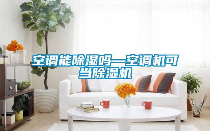 空调能除湿吗—空调机可当草莓视频APP在线观看