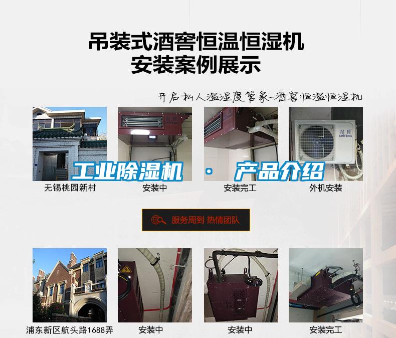 工业草莓视频APP在线观看 · 产品介绍