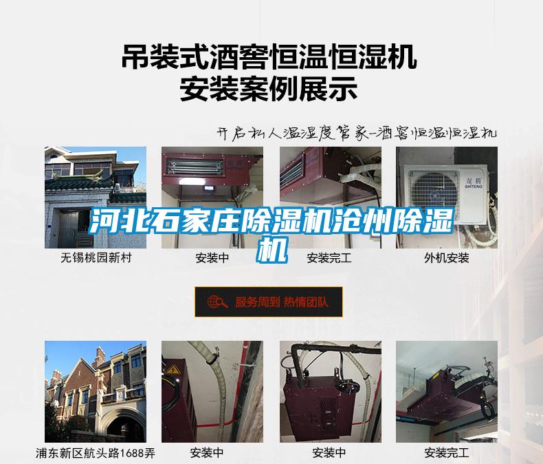 河北石家庄草莓视频APP在线观看沧州草莓视频APP在线观看