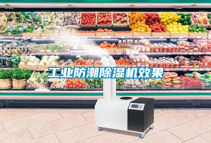 工业防潮草莓视频APP在线观看效果