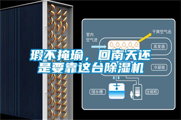 瑕不掩瑜，回南天还是要靠这台草莓视频APP在线观看