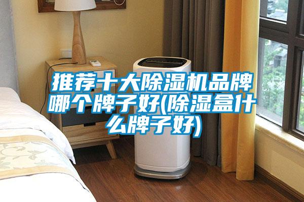 推荐十大草莓视频APP在线观看品牌哪个牌子好(除湿盒什么牌子好)