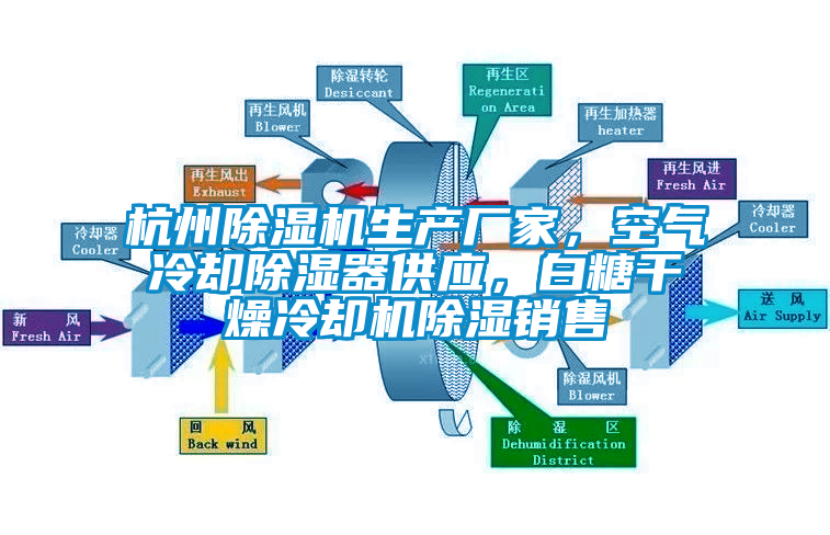 杭州草莓视频APP在线观看生产厂家，空气冷却除湿器供应，白糖干燥冷却机除湿销售