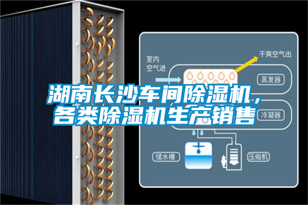湖南长沙车间草莓视频APP在线观看，各类草莓视频APP在线观看生产销售