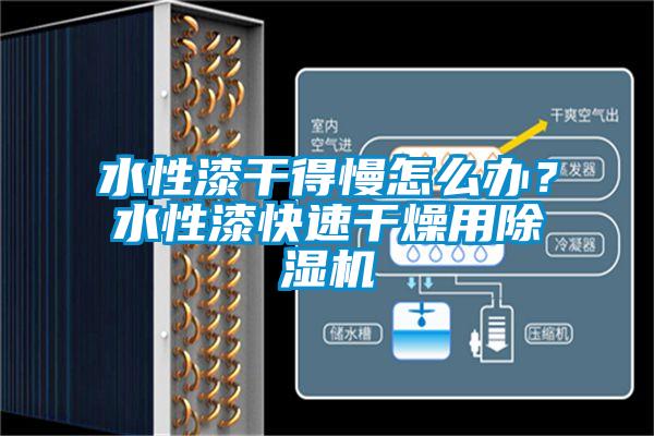 水性漆干得慢怎么办？水性漆快速干燥用草莓视频APP在线观看