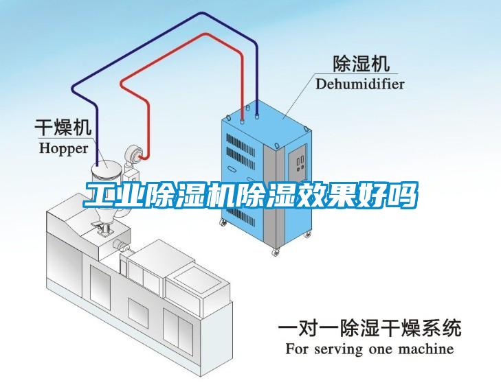 工业草莓视频APP在线观看除湿效果好吗