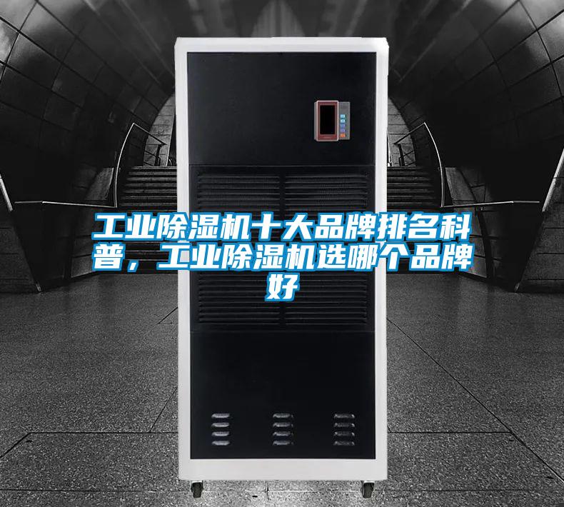 工业草莓视频APP在线观看十大品牌排名科普，工业草莓视频APP在线观看选哪个品牌好