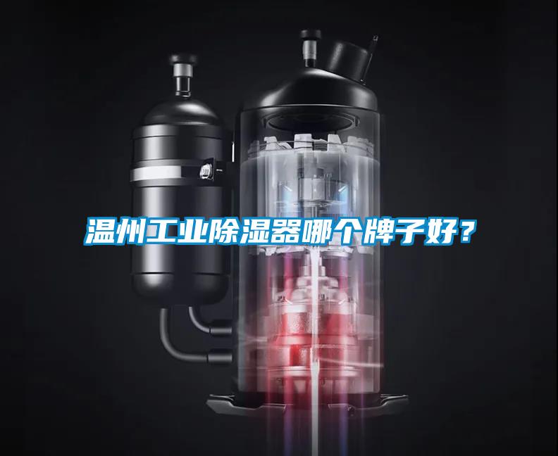 温州工业除湿器哪个牌子好？