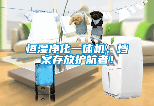 恒湿净化一体机，档案存放护航者！