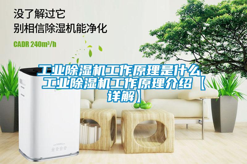 工业草莓视频APP在线观看工作原理是什么 工业草莓视频APP在线观看工作原理介绍【详解】