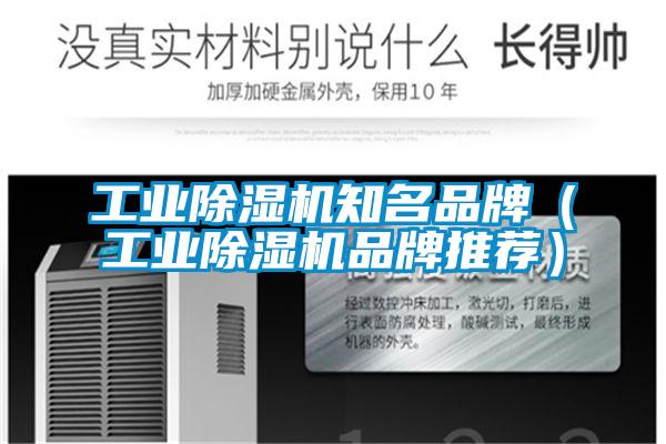 工业草莓视频APP在线观看知名品牌（工业草莓视频APP在线观看品牌推荐）