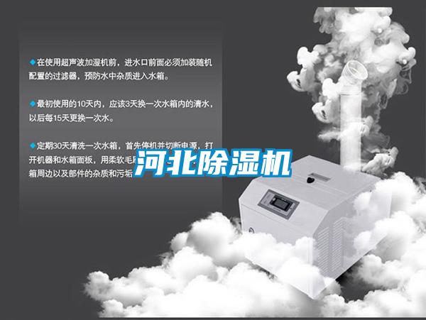 河北草莓视频APP在线观看