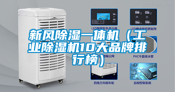 新风除湿一体机（工业草莓视频APP在线观看10大品牌排行榜）