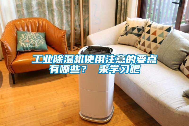 工业草莓视频APP在线观看使用注意的要点有哪些？ 来学习吧