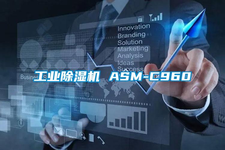 工业草莓视频APP在线观看 ASM-C960