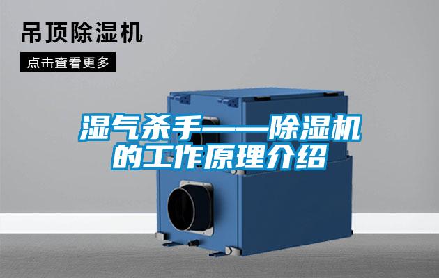 湿气杀手——草莓视频APP在线观看的工作原理介绍