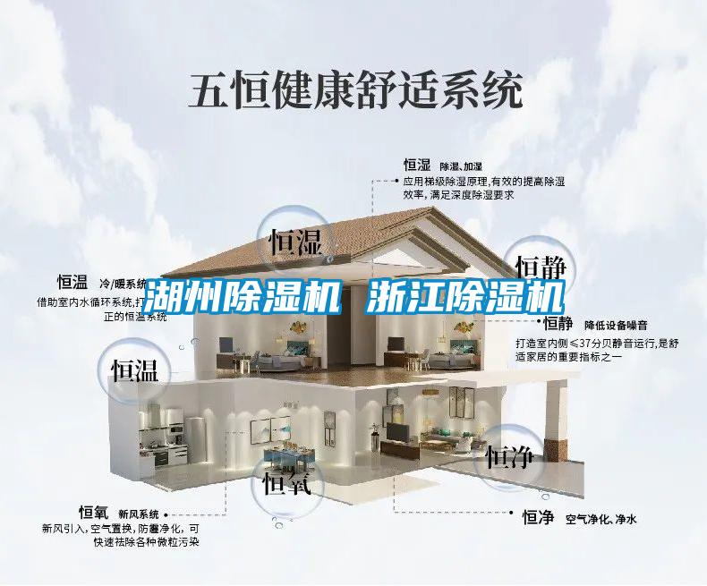 湖州草莓视频APP在线观看 浙江草莓视频APP在线观看