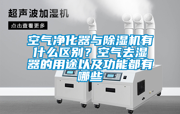 空气净化器与草莓视频APP在线观看有什么区别？空气去湿器的用途以及功能都有哪些