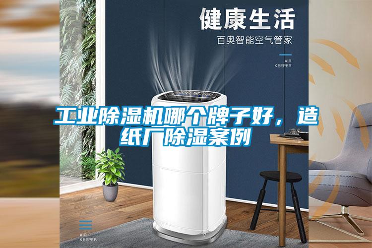 工业草莓视频APP在线观看哪个牌子好，造纸厂除湿案例