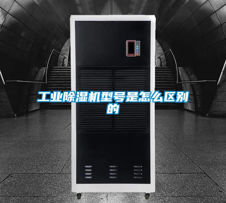 工业草莓视频APP在线观看型号是怎么区别的