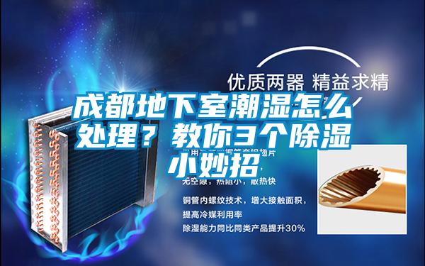 成都地下室潮湿怎么处理？教你3个除湿小妙招