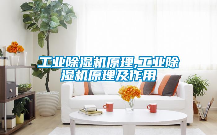工业草莓视频APP在线观看原理,工业草莓视频APP在线观看原理及作用