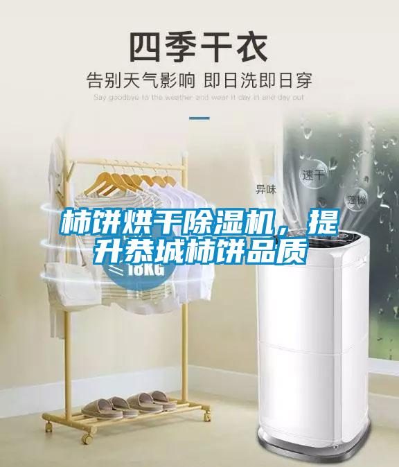 柿饼烘干草莓视频APP在线观看，提升恭城柿饼品质