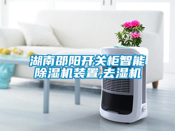 湖南邵阳开关柜智能草莓视频APP在线观看装置,去湿机