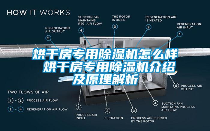 烘干房专用草莓视频APP在线观看怎么样 烘干房专用草莓视频APP在线观看介绍及原理解析