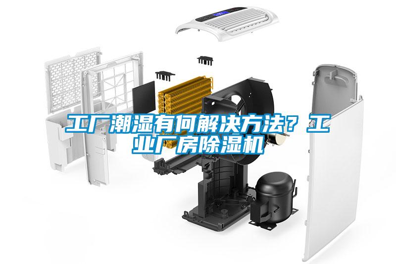工厂潮湿有何解决方法？工业厂房草莓视频APP在线观看