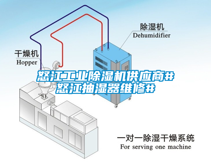 怒江工业草莓视频APP在线观看供应商#怒江抽湿器维修#