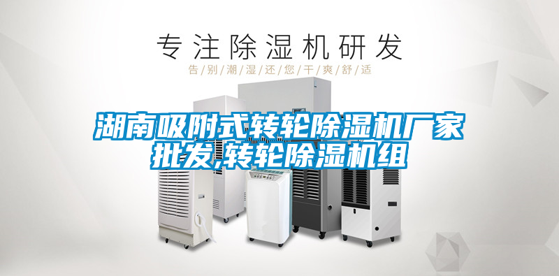 湖南吸附式转轮草莓视频APP在线观看厂家批发,转轮草莓视频APP在线观看组