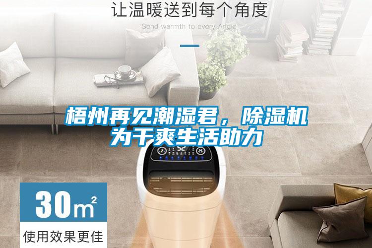 梧州再见潮湿君，草莓视频APP在线观看为干爽生活助力