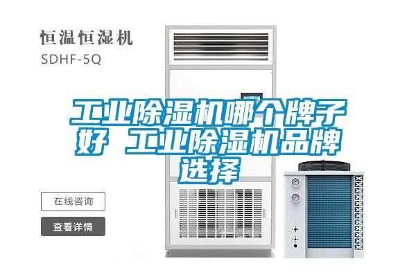 工业草莓视频APP在线观看哪个牌子好 工业草莓视频APP在线观看品牌选择