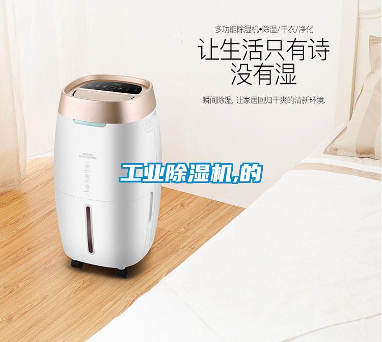 工业草莓视频APP在线观看,的