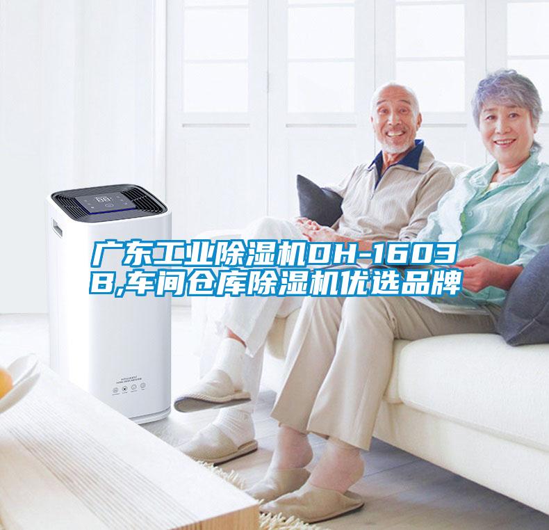 广东工业草莓视频APP在线观看DH-1603B,车间仓库草莓视频APP在线观看优选品牌