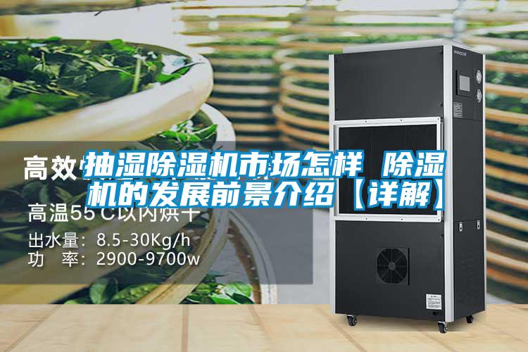抽湿草莓视频APP在线观看市场怎样 草莓视频APP在线观看的发展前景介绍【详解】