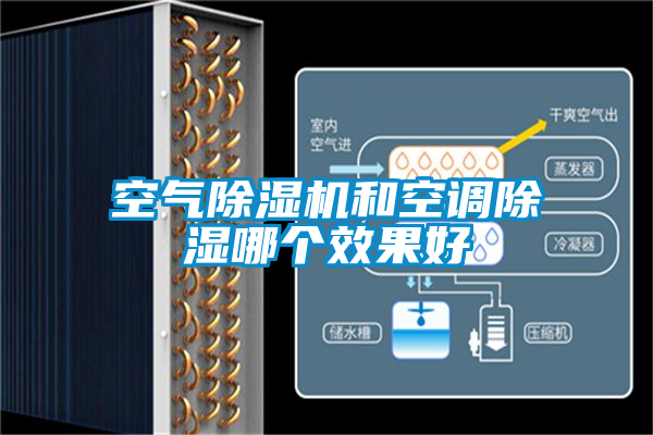 空气草莓视频APP在线观看和空调除湿哪个效果好