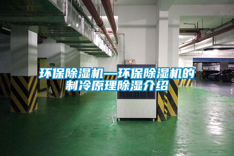 环保草莓视频APP在线观看—环保草莓视频APP在线观看的制冷原理除湿介绍