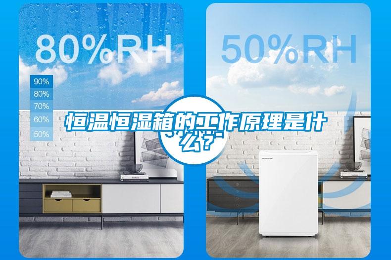 恒温恒湿箱的工作原理是什么？