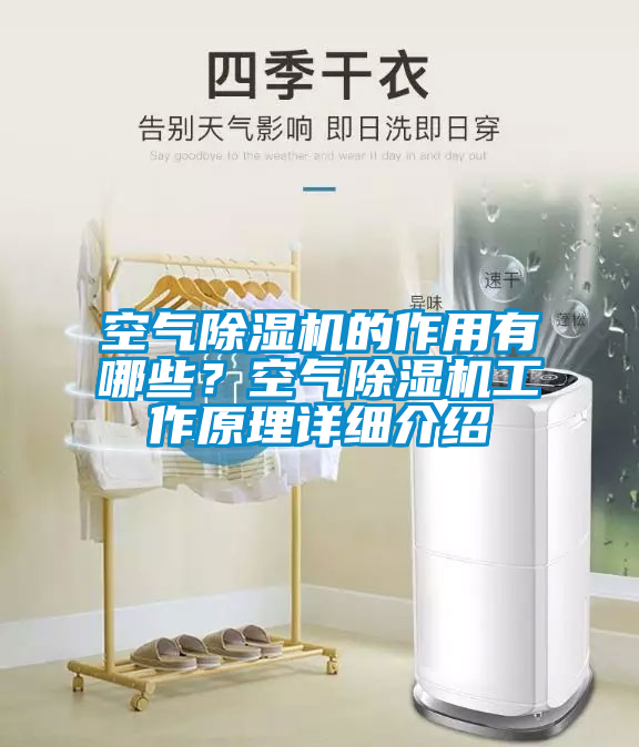 空气草莓视频APP在线观看的作用有哪些？空气草莓视频APP在线观看工作原理详细介绍