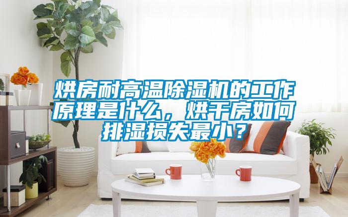 烘房耐高温草莓视频APP在线观看的工作原理是什么，烘干房如何排湿损失最小？