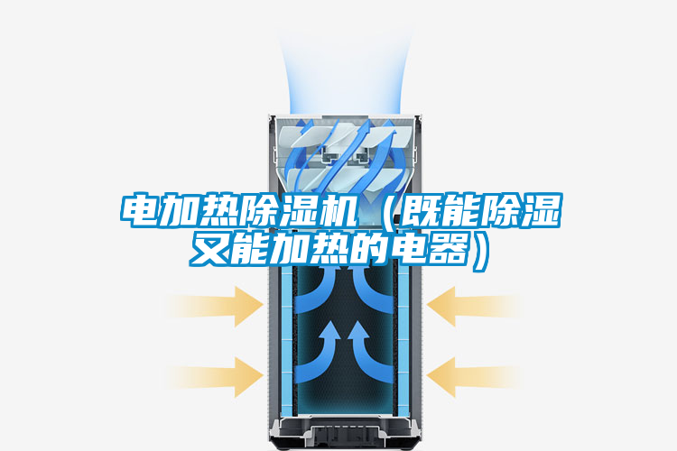 电加热草莓视频APP在线观看（既能除湿又能加热的电器）