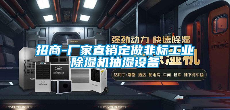 招商-厂家直销定做非标工业草莓视频APP在线观看抽湿设备